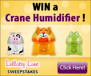 LullabyLane_Humidifier_300x250