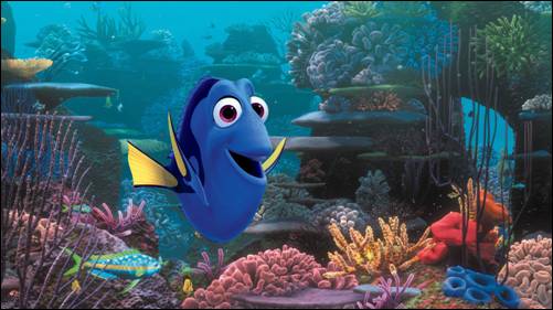 dory pic