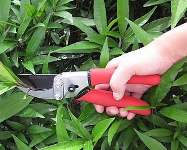 Craftsman Bypass Pruner   Lawn   Garden   Outdoor Tools   Supplies   Hand Gardening Tools