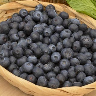 Screen Shot 2014-02-01 at 9.17.58 PM