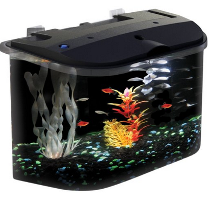 Aquarius 5 Rounded 5-Gallon Aquarium Kit