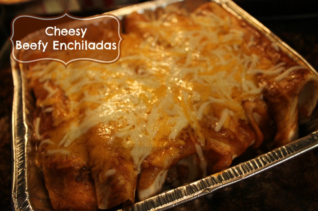Cheesy Beefy Enchiladas