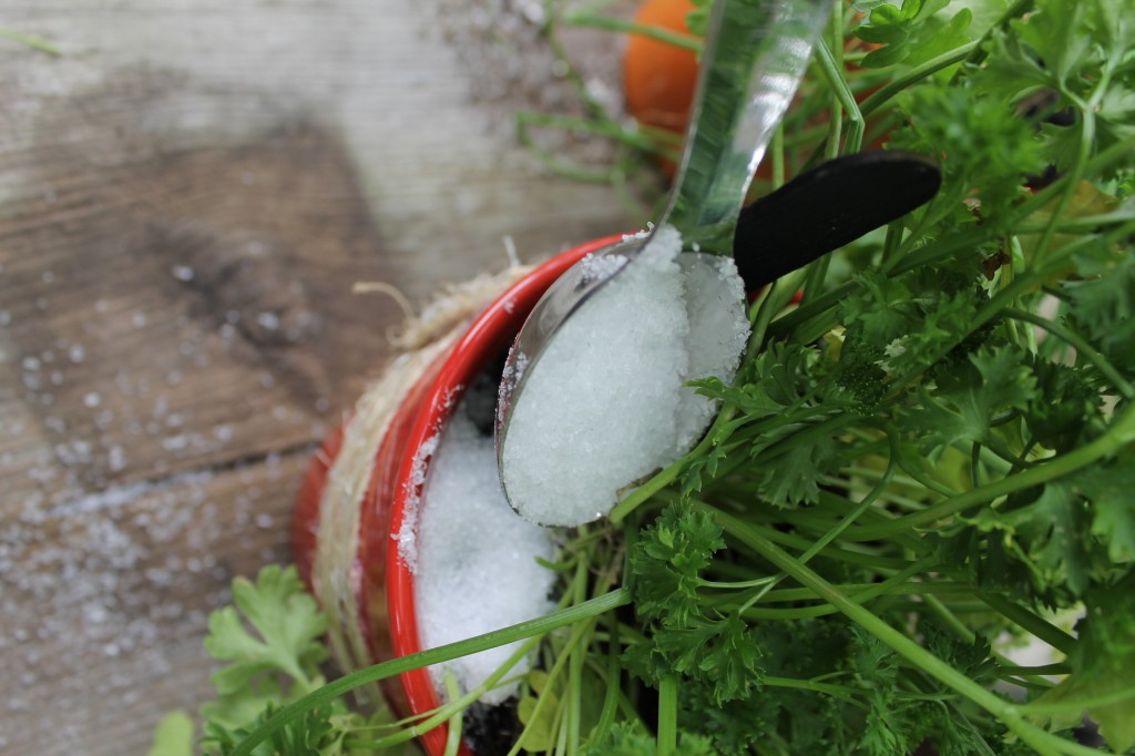 Epsom Salt to Fertilize Plants