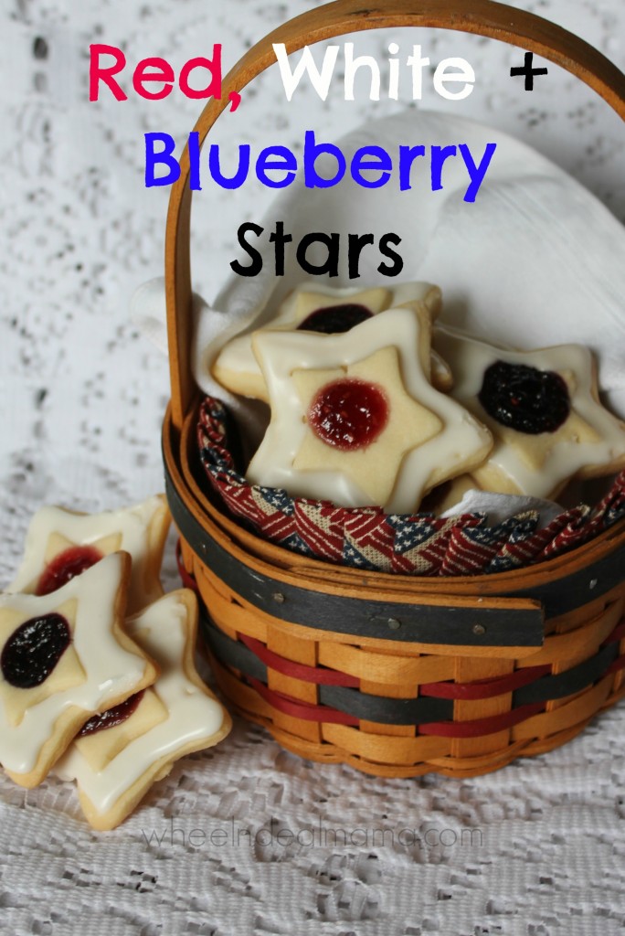 Red White and Blueberry Stars