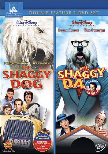 shaggy-dog