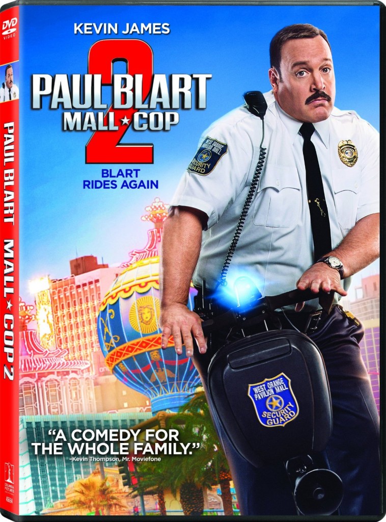 mall-cop-2