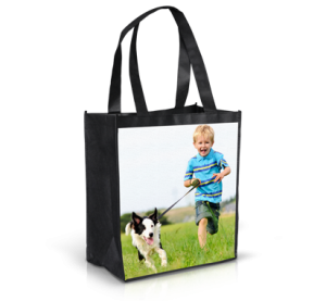 A_412X380_GROCERY_BAG