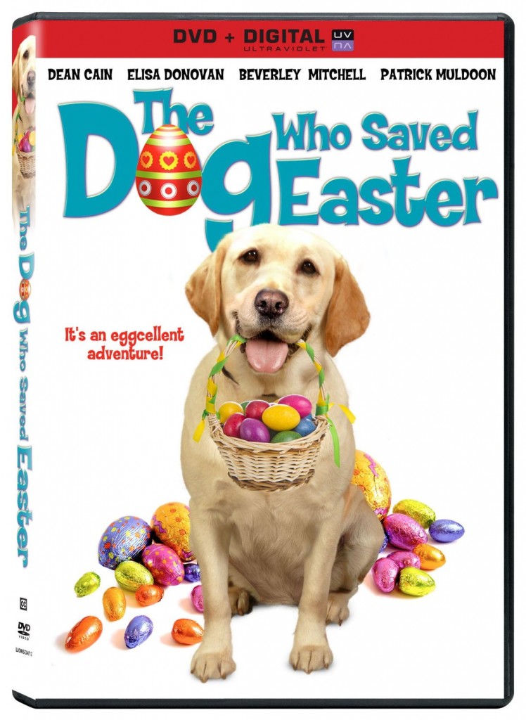 dog-easter