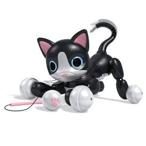 kitty