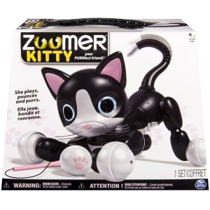kitty2