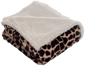 blanket-2