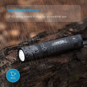 flashlight2