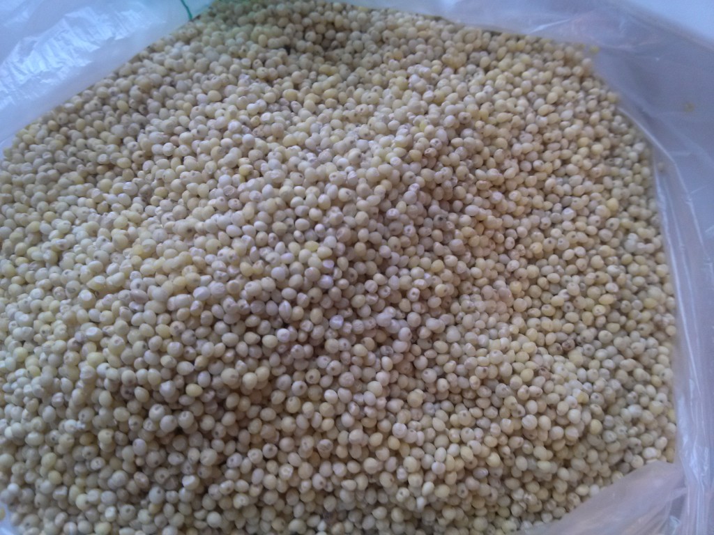 CrockPot Millet Hot Cereal Kid Approved Recipe! Wheel N Deal Mama