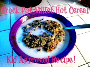 Crock Pot Millet Hot Cereal - Kid Approved Recipe